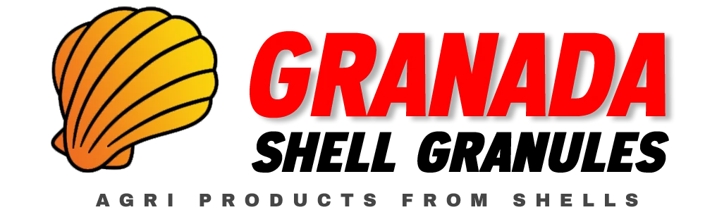 Granada shell